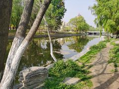 -大望京公园