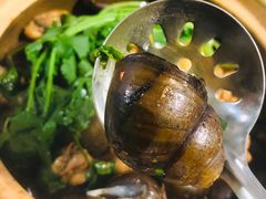 -食爺炭炉鸡煲·烧烤