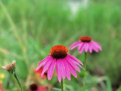 -世纪公园-世纪春沁园