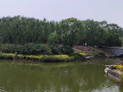 -大兴滨河森林公园