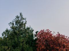 -北京十三陵国家森林公园蟒山景区