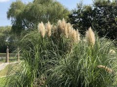 -昆山城市生态森林公园