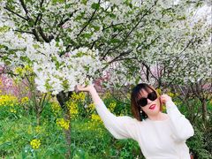 -南汇桃花村