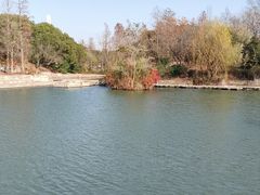 -南翔镇银翔湖公园