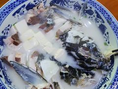 -全乐鱼馆·淳牌有机鱼直营店