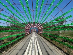 -苏州太湖西山岛开心农场