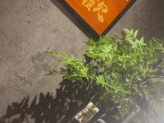 -浪起·江湖菜馆(陶瓷路店)