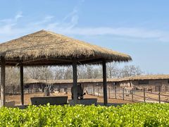 -济南野生动物世界