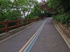 -杭州半山国家森林公园