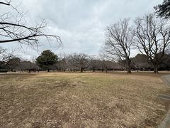 -井之头恩赐公园