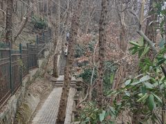 -紫金山天文台