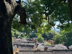 -杨家堂村