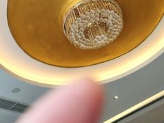 -皇朝尊会(龙之梦大酒店)