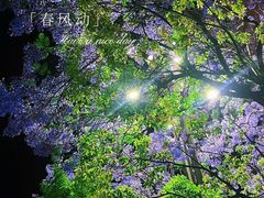 -空之介寿喜烧·和牛放题(恒隆广场店)
