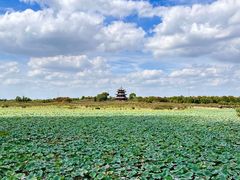 -上海海湾国家森林公园