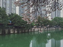 -红星桥(地铁站)