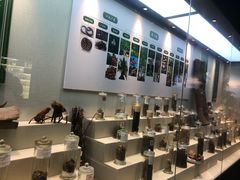 -广东中医药博物馆