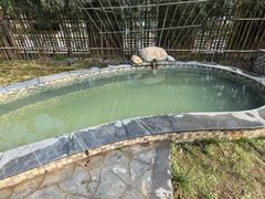 -三江森林温泉度假区