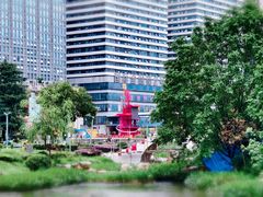 -花果园湿地公园