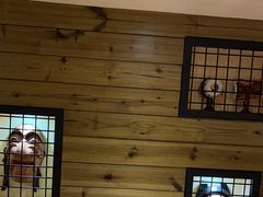 -冰川冷面·延边菜·炭烤串(观前店)