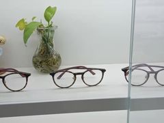 -翰佐蔡司小乐圆·依视路星趣控·暴龙眼镜折扣店