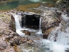 -九龙江国家森林公园