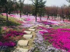 -南通洲际绿博园