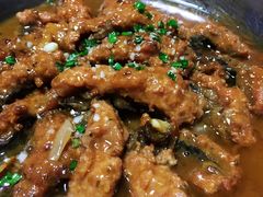 -丁老爷子苏香圆