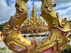 -西双版纳勐泐文化旅游区