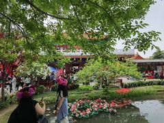 -曹州牡丹园