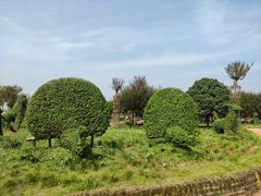 -武汉紫薇都市田园