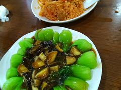 -西北老马食府(陈家营西路店)