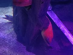 -沈阳海洋探索中心