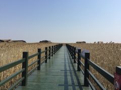 -东滩湿地公园观海楼餐厅