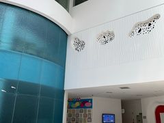 -深圳东部华侨城瀑布酒店