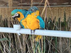 -西霞口神雕山野生动物世界