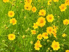 -南京市江宁方山