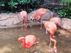 -长鹿旅游休博园