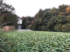 -解香楼(八盘岭路店)