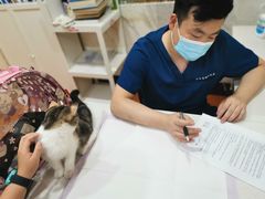 -瑞鹏宠物医院·爱宠堂·骨外专科(西荷分院)