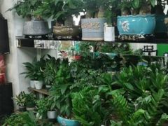 -循礼门鲜花花市(武汉循礼门店)