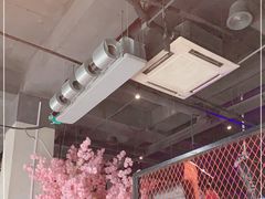 -乐园夜市场(五道口王庄路店)