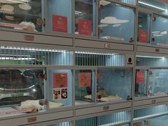 -FAELING PETS美天灵宠物(合生汇店)