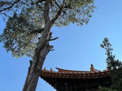 -大理文庙(大理古城)