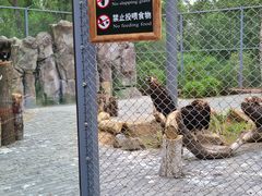 -沈阳鸟岛