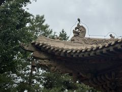 -张掖大佛寺景区