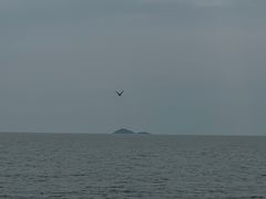 -仰口沙滩