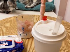 -猫咪派对(江南西店)