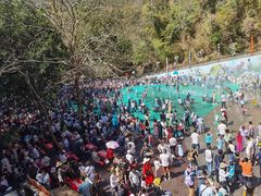 -西双版纳原始森林公园