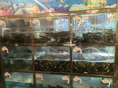 -三道苗苗鱼(三道堰老字号店)